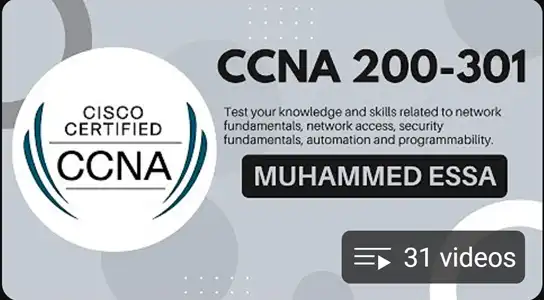 Network Fundamentals